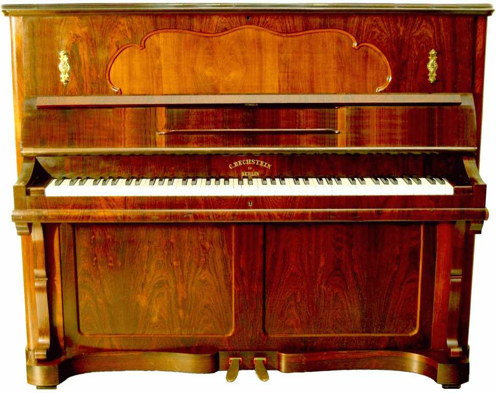 Carl Bechstein Nr. 81