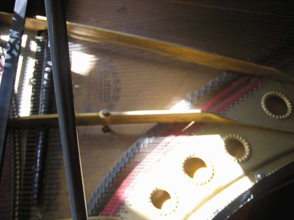Duysen nr 8952