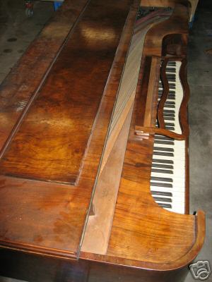 Richard Lipp Nr. 4892