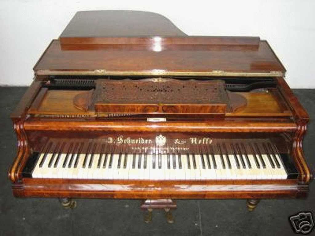 Schneider Neffe Nr. 2324