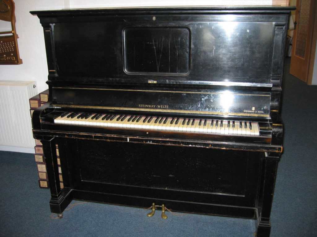 Steinway & Sons Steinway Welte 3
